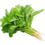 Bayam