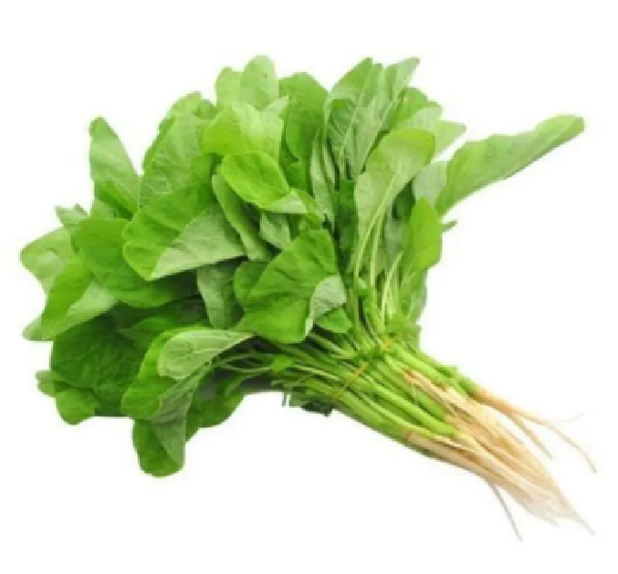 Bayam