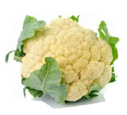 Bungkul