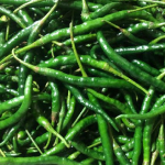 Cabe Hijau