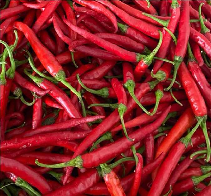 Cabe Merah