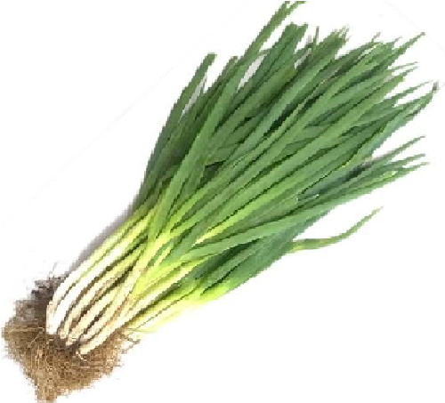 Daun Bawang