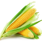 Jagung