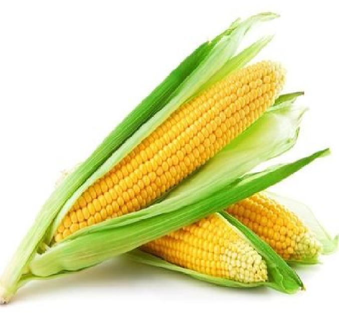 Jagung