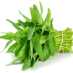 Kangkung