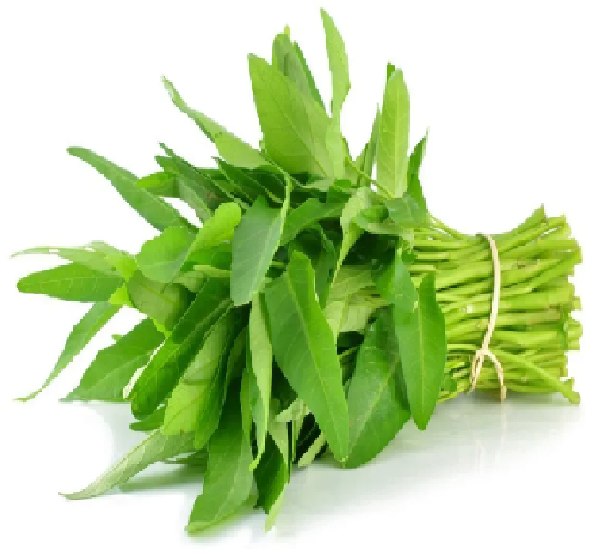 Kangkung