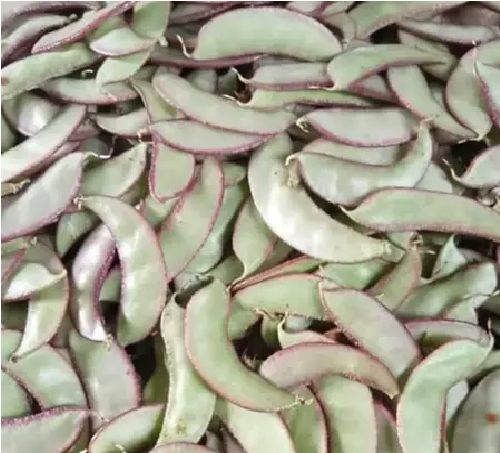 Koro Ungu