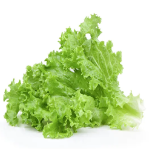 Selada