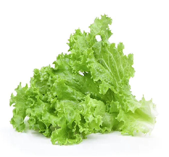 Selada